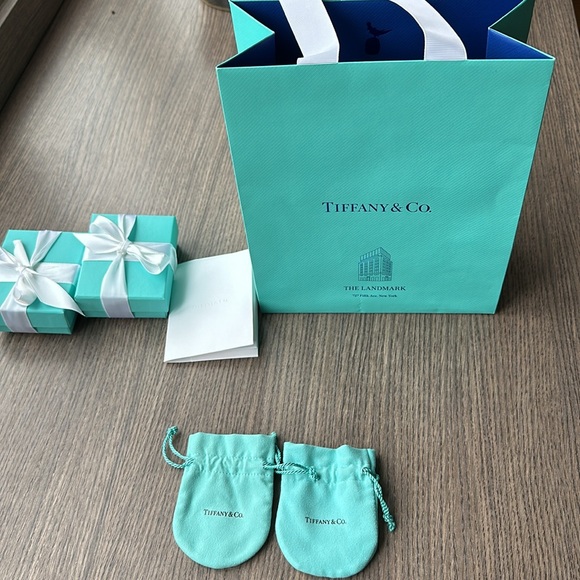 Tiffany&Co. The Landmark 727 Fifth Ave. New York huge gift bag set w silver tag - Picture 9 of 9